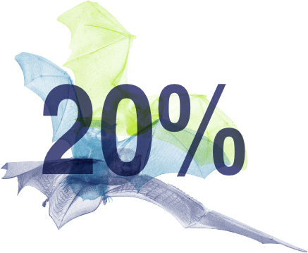 20%